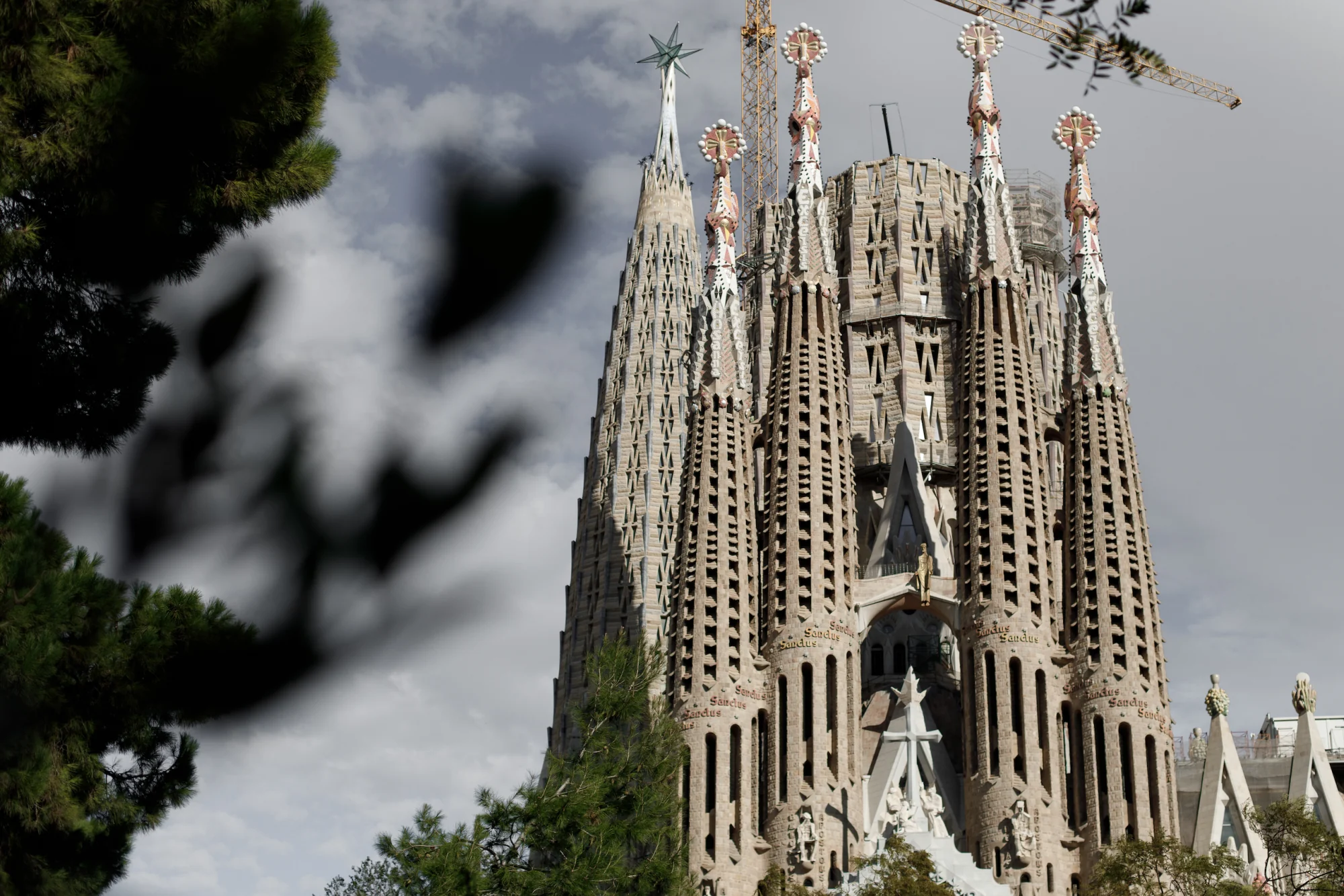 Categoría Barcelona