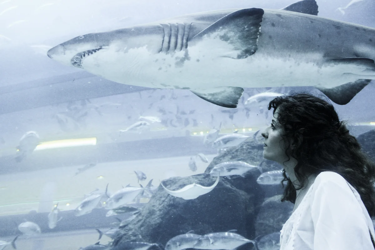 Anna en el Aquarium del Dubai Mall de Dubái