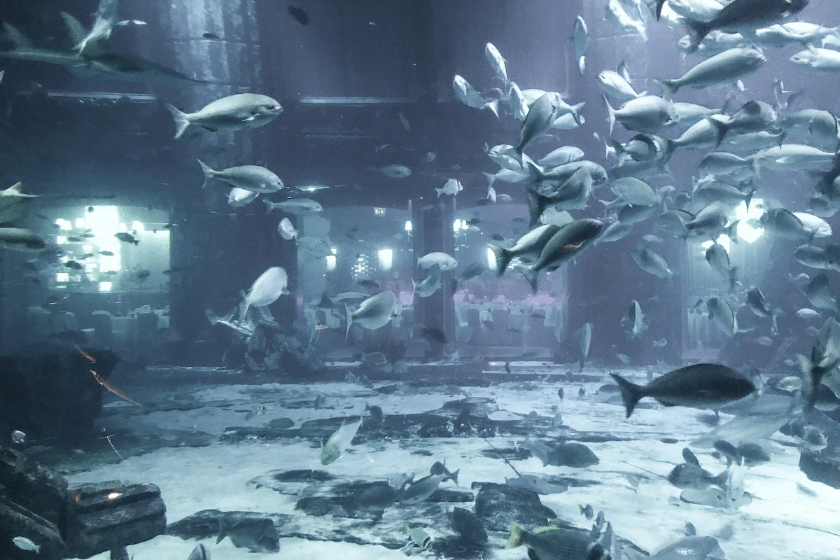Pecera del aquarium Lost Chambers de Dubái