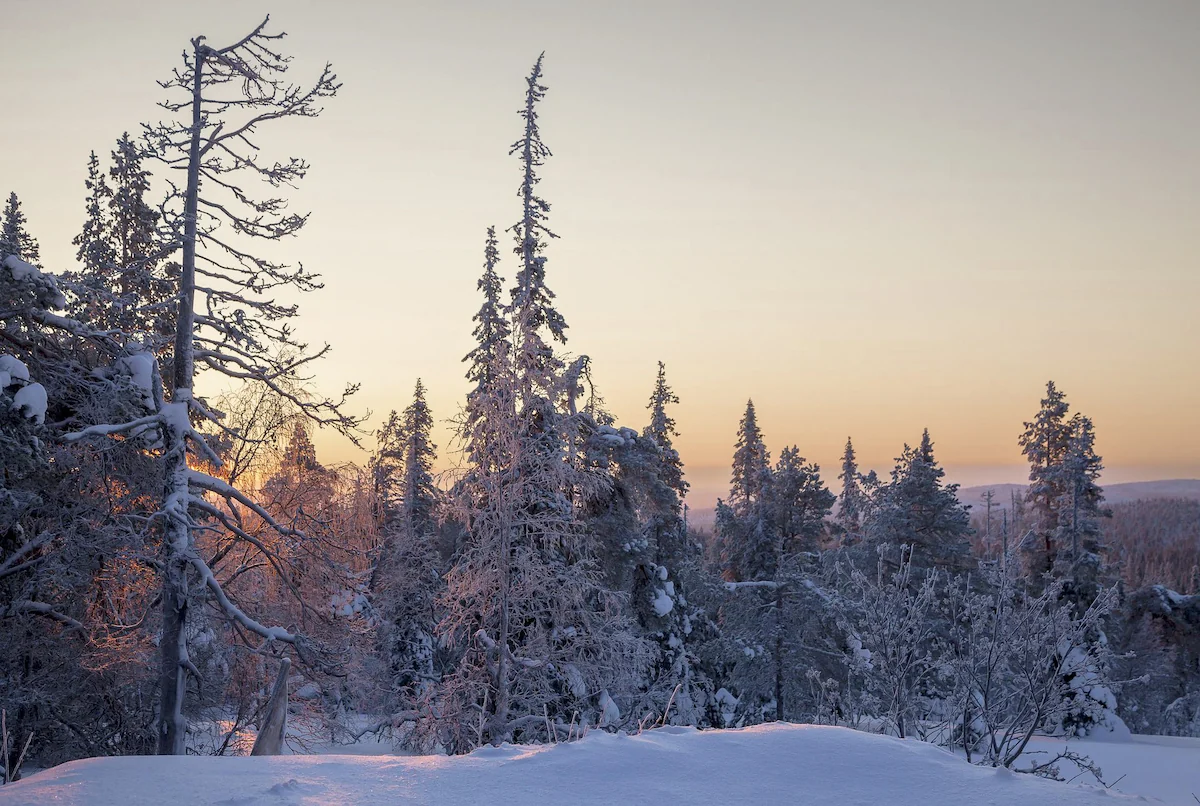 Amanecer en Laponia, Finlandia | Descubriendo el mundo con Anna 200