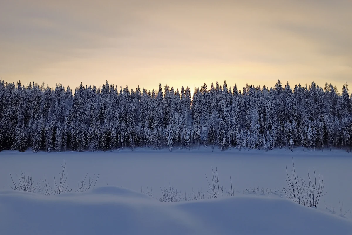 Amanecer en Laponia, Finlandia | Descubriendo el mundo con Anna 210