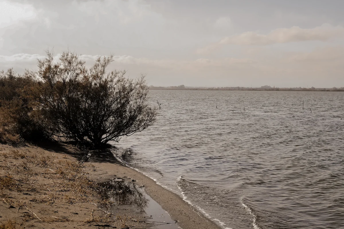 Lago Étang de Canet en Perpiñán