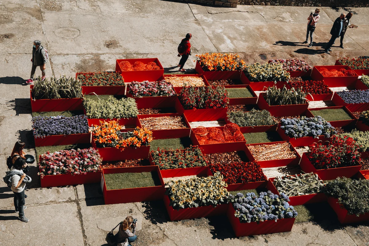 Girona Temps de flors.