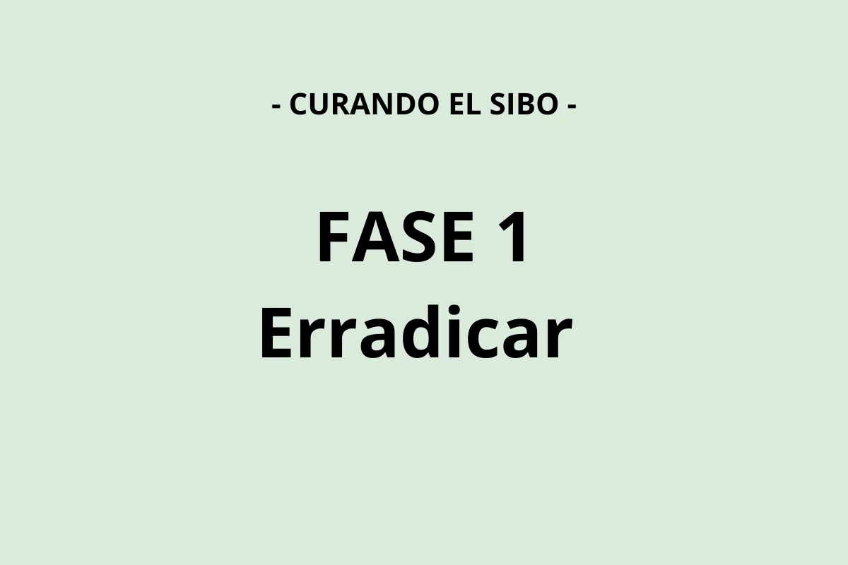Tratamiento del SIBO. Fase 1 - Erradicar