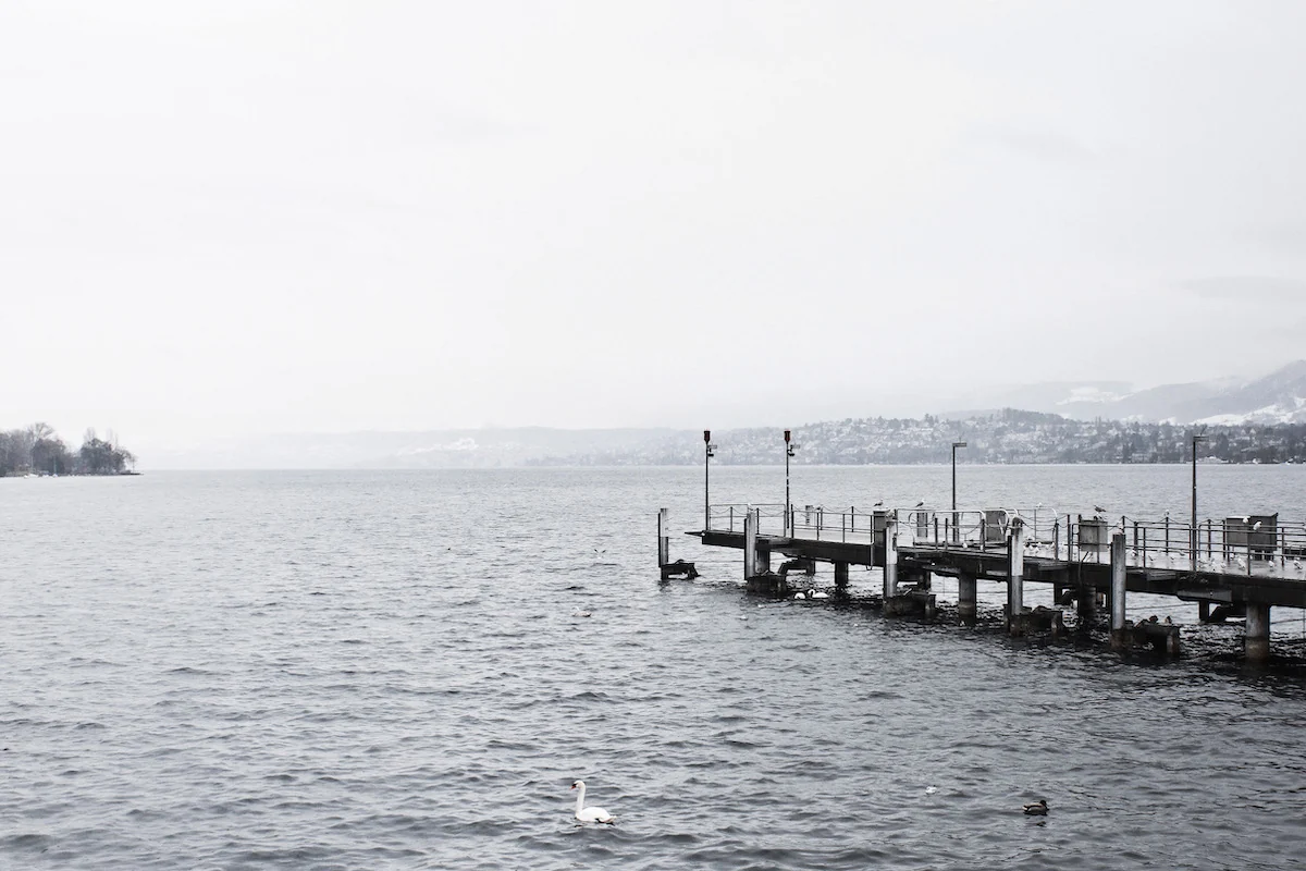 Vista del lago de Zurich