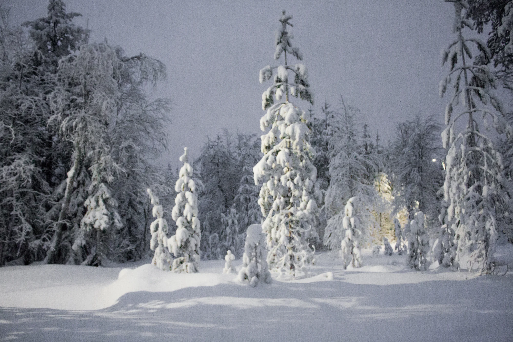 Categoría Finlandia