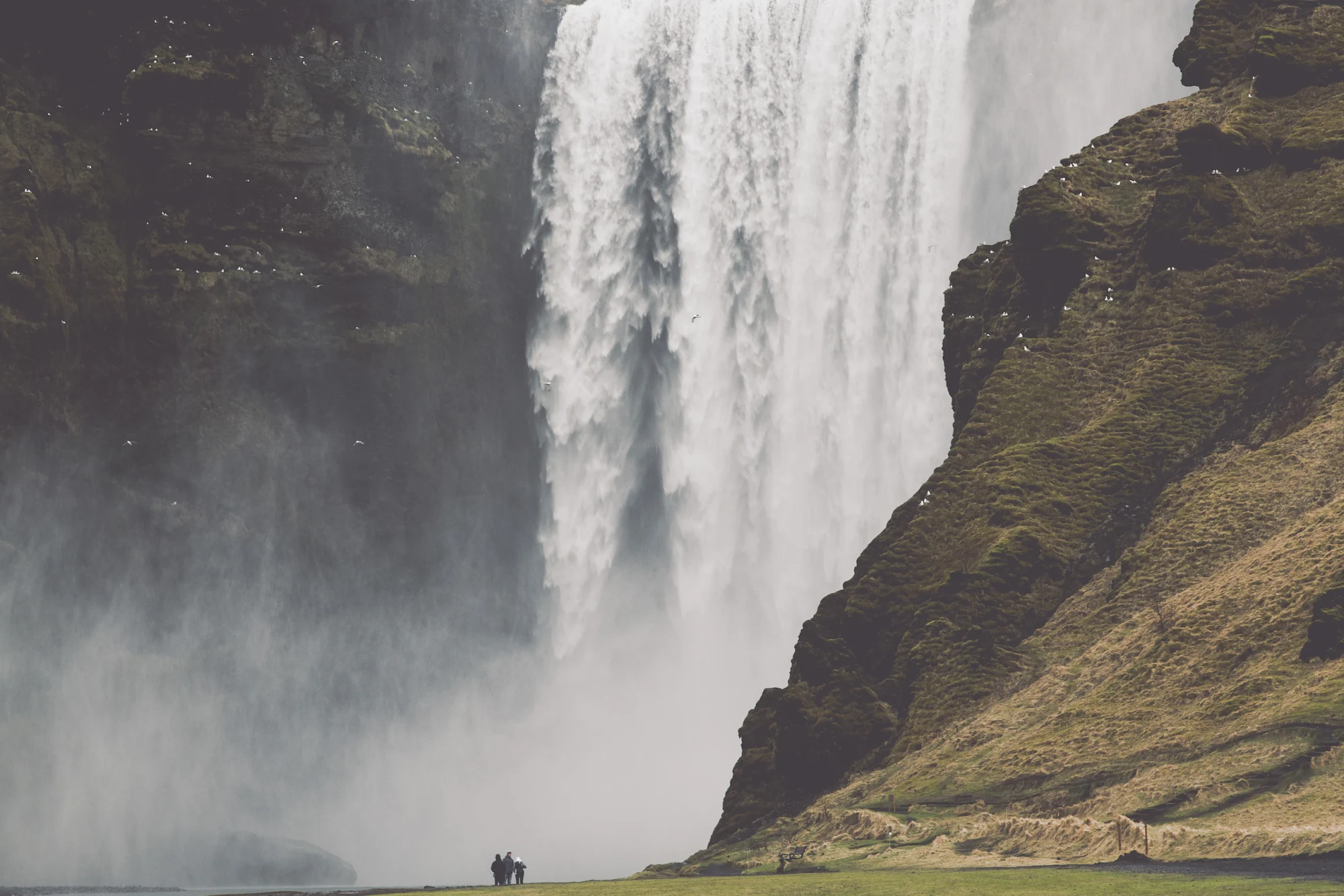 Categoría Islandia 200