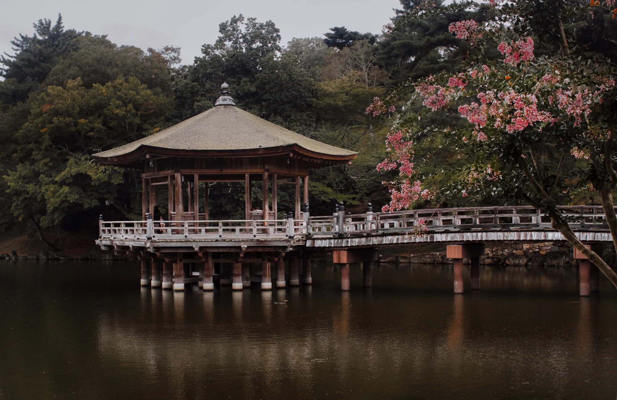 Lago con Pagoda en Nara, Japón