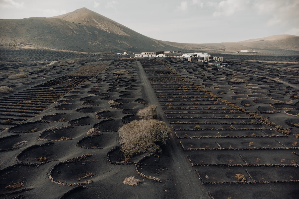 La-Geria-Lanzarote-Descubriendo-el-mundo-con-Anna1