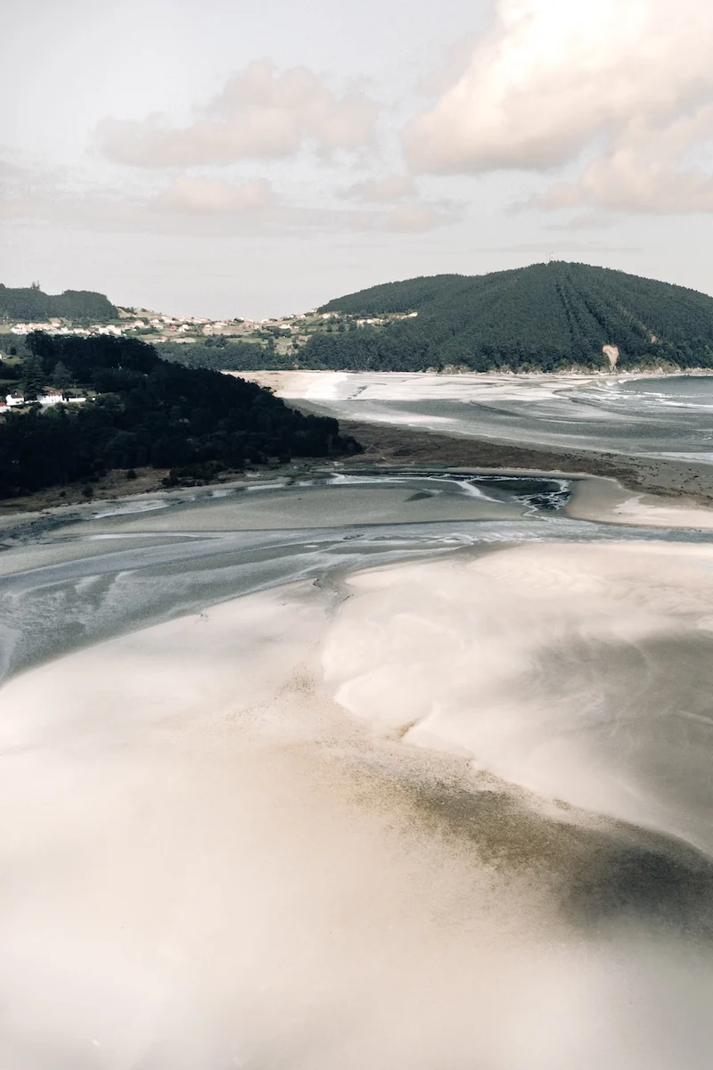Detalle del bosque y la arena en la Playa de Vilarrube, Galicia